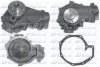 DOLZ D205 Water Pump